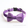 Amable Luxury Small Pet Cat Bow Tie Collar
